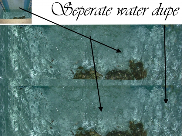 Creation of Taking a Dip: Step 8
